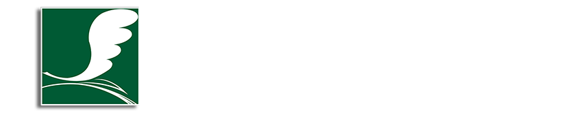 首页 遂宁二中教育集团滨江校区